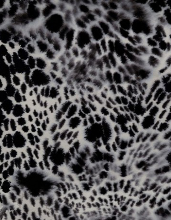 Animal Skin Luli Sanchez 04