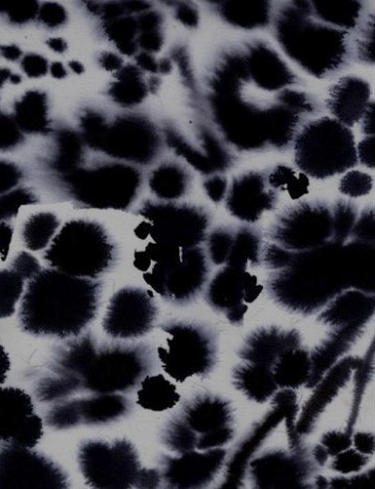 Animal Skin Luli Sanchez