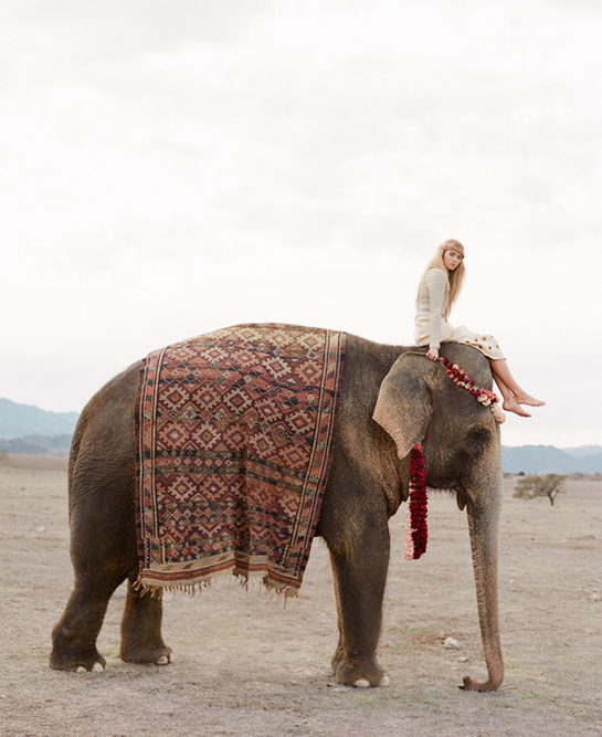 Elephant Editorial – Santa Ynez