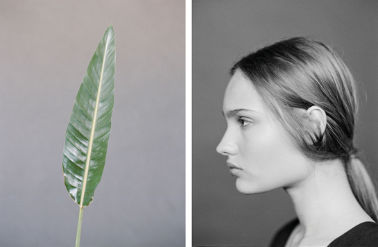 Paloma Wool, Hotel II